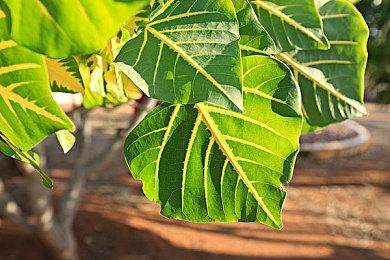 《怪物猎人：荒野》恶搞视频 用PC玩竟是这个样子